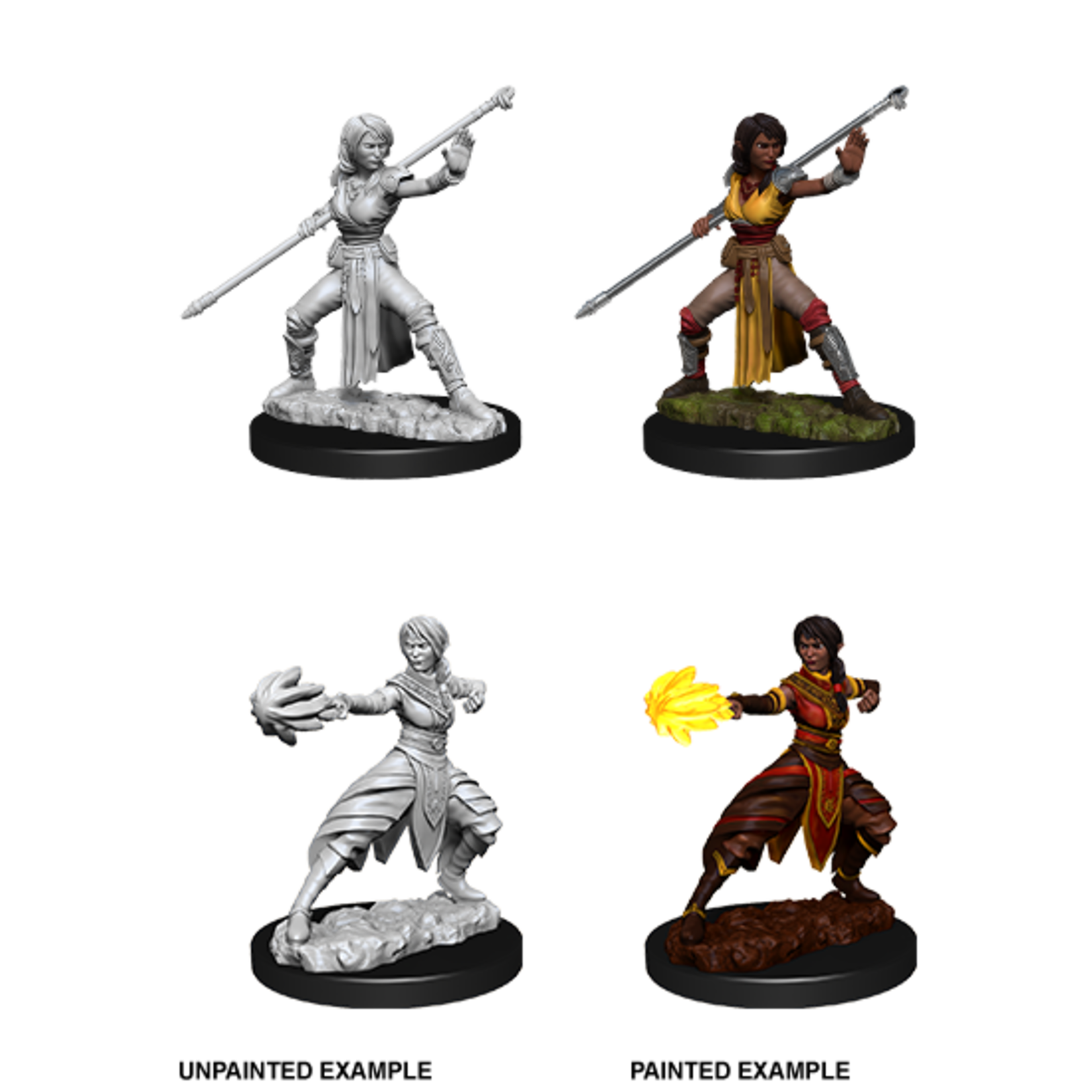 WizKids D&D Nolzur's Marvelous Miniatures: Female Half-Elf Monk (W10)