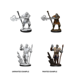 WizKids Dungeons & Dragons Nolzur`s Marvelous Unpainted Miniatures: W11 Male Firbolg Druid