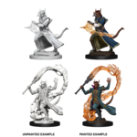WizKids Dungeons & Dragons Nolzur`s Marvelous Unpainted Miniatures: W4 Tiefling Male Sorcerer