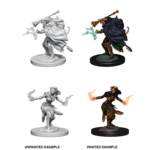 WizKids D&D Nolzur's Marvelous Miniatures: Tiefling Female Warlock (W6)