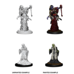 WizKids Dungeons & Dragons Nolzur`s Marvelous Unpainted Miniatures: W6 Green Hag & Night Hag