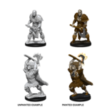 WizKids D&D Nolzur's Marvelous Miniatures: Male Goliath Barbarian (W10)