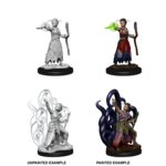 WizKids D&D Nolzur's Marvelous Miniatures: Female Human Warlock  (W10)