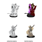 WizKids D&D Nolzur's Marvelous Miniatures: Lich & Mummy Lord (W11)