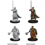 WizKids D&D Nolzur's Marvelous Miniatures: Human Male Cleric (W8)