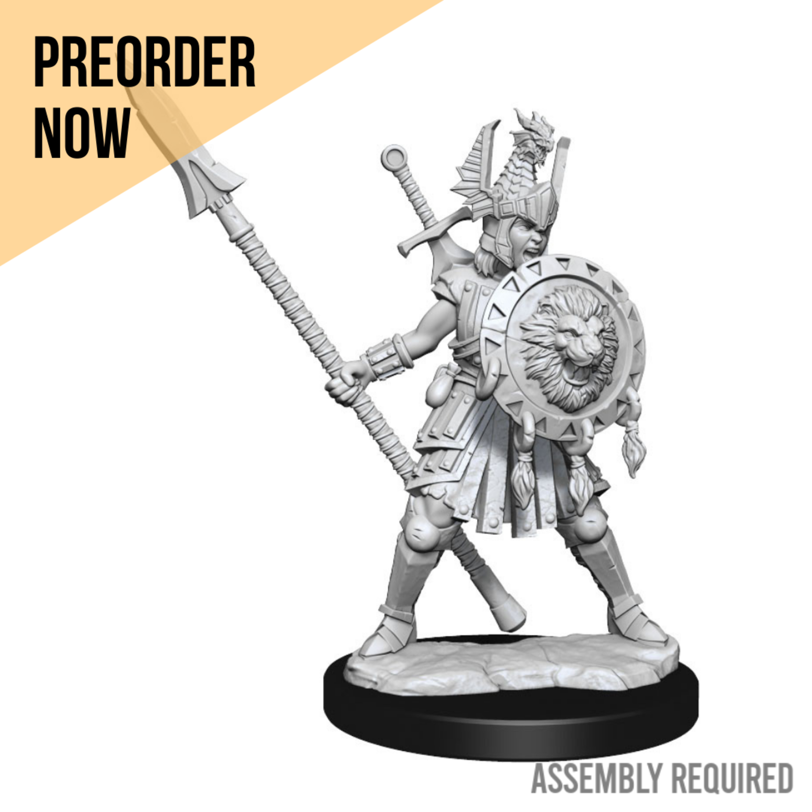 WizKids Wizkids Dungeons & Dragons Frameworks: Human Fighter Female W01