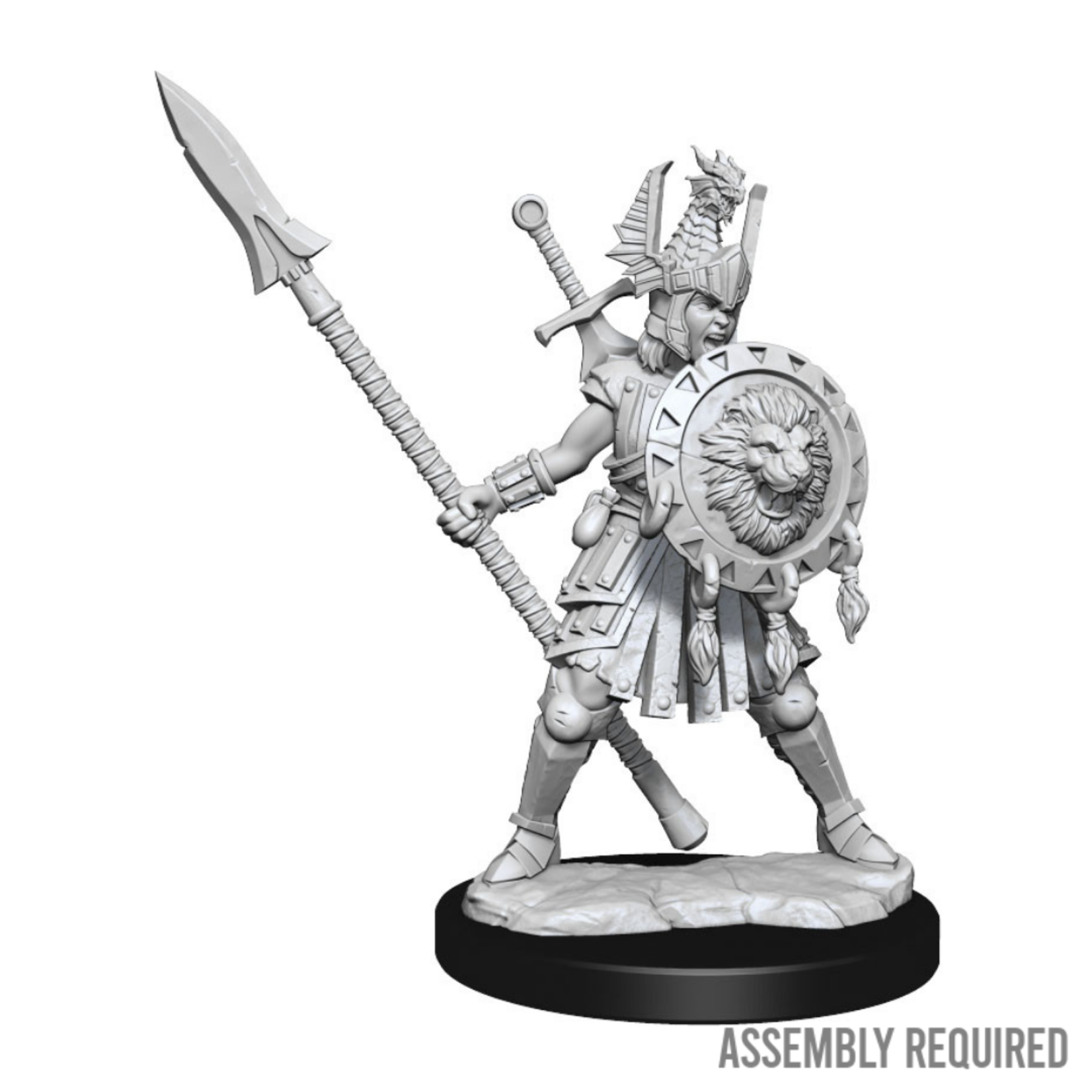 WizKids Wizkids Dungeons and Dragons Frameworks: Human Fighter Female W01