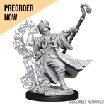 WizKids Wizkids Dungeons & Dragons Frameworks: Human Wizard Male W01