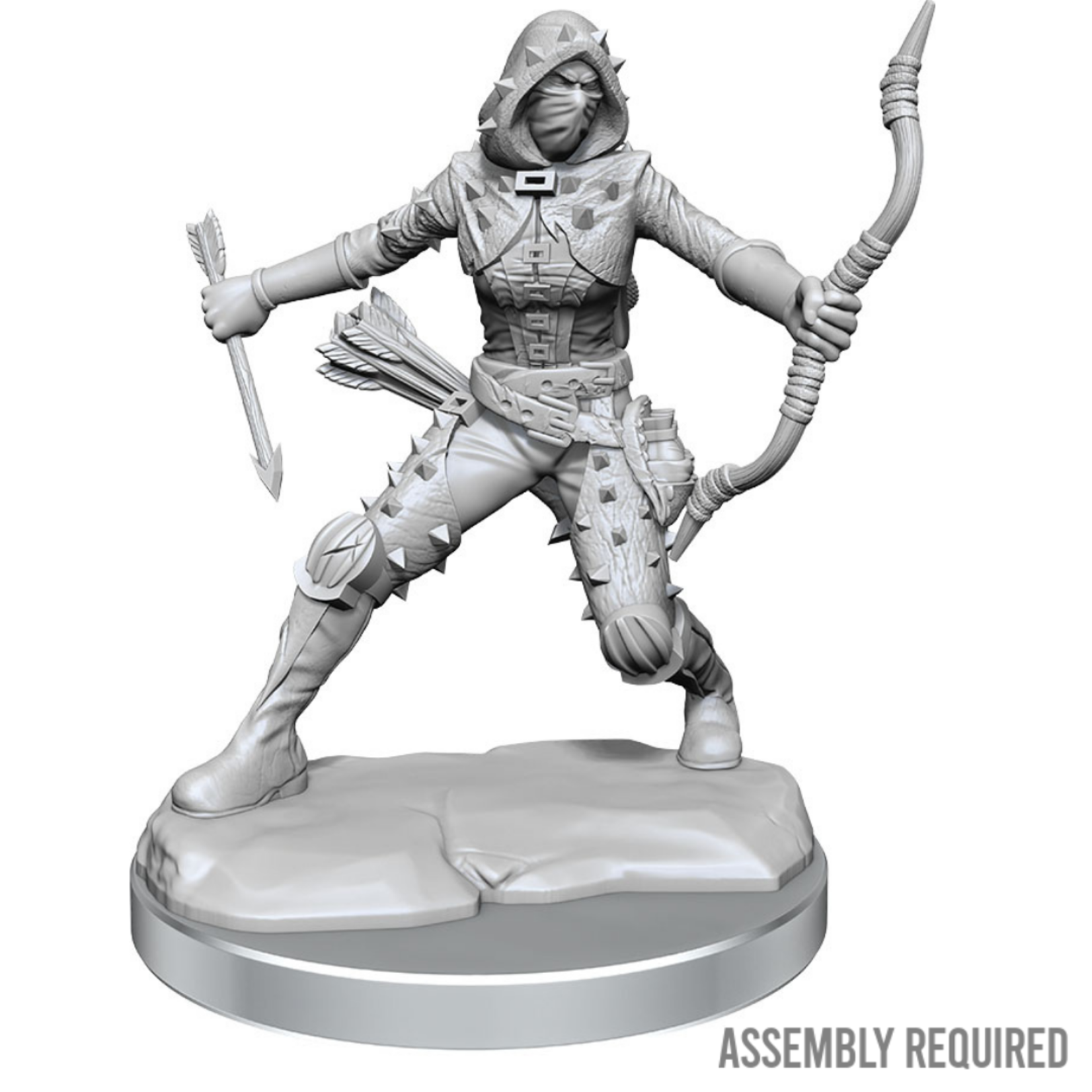 WizKids Wizkids Dungeons and Dragons Frameworks: Human Rogue Female W01