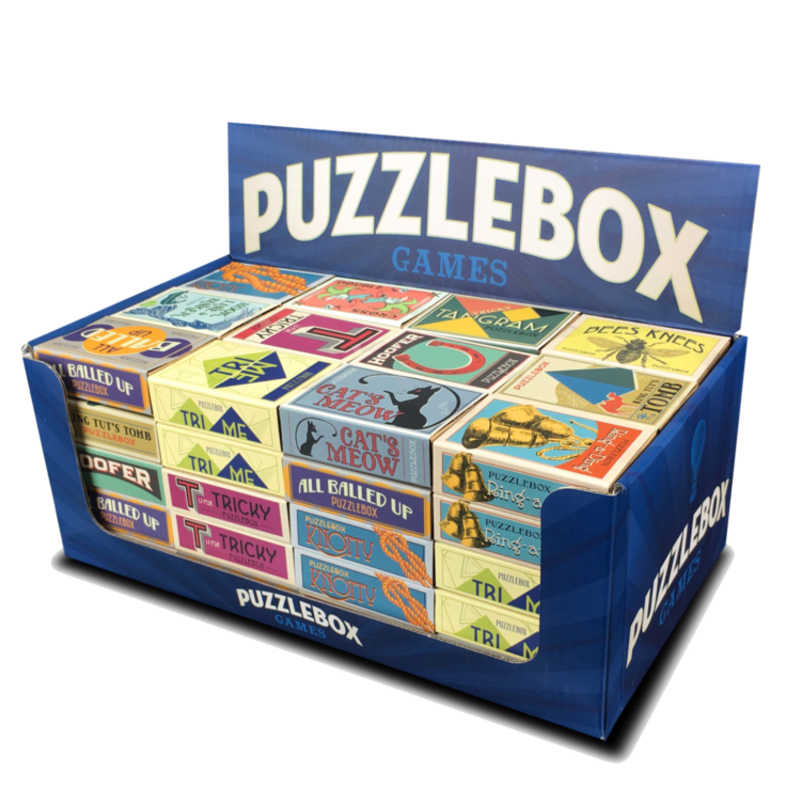 project Genius True Genius Original PuzzleBox