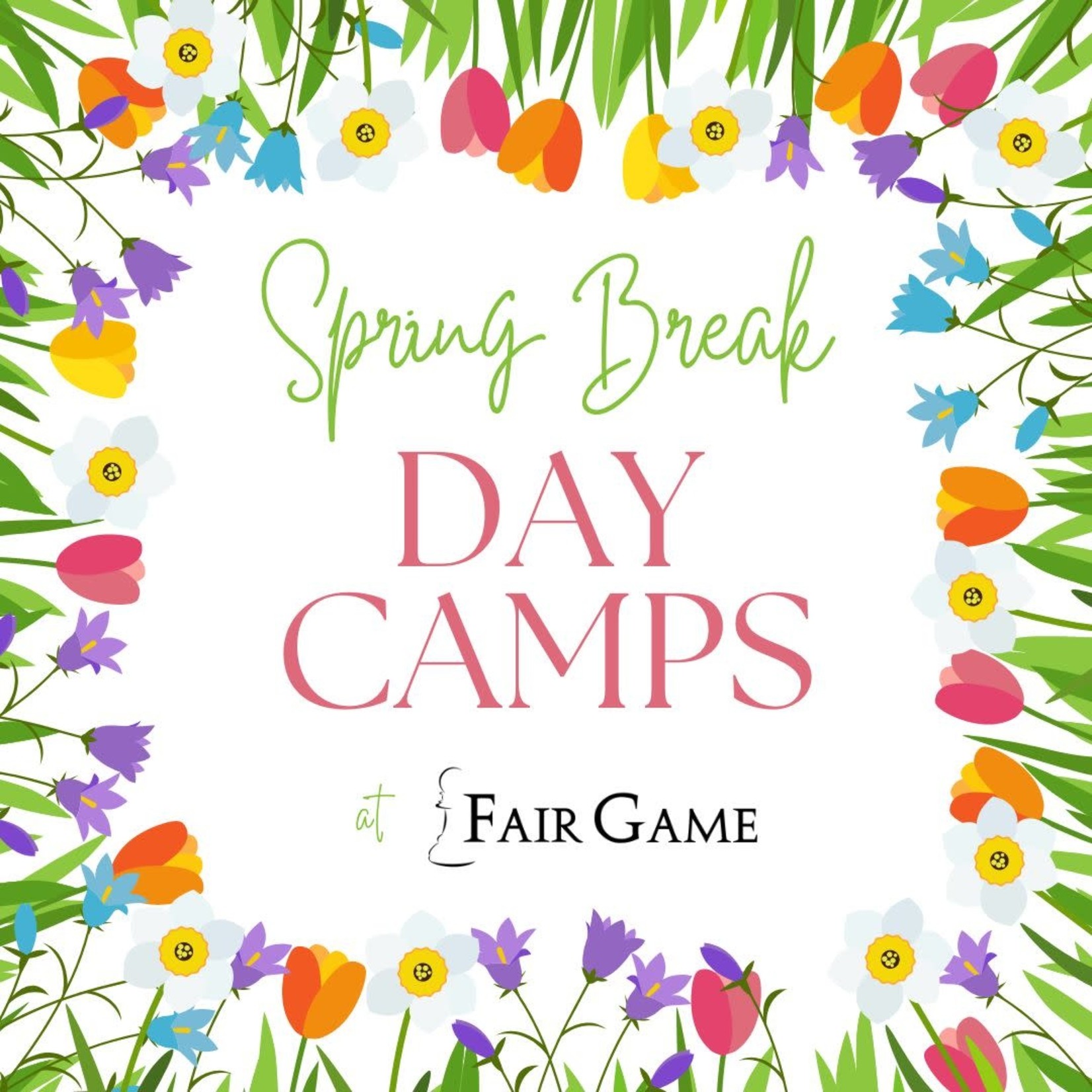 Fair Game Spring Break Day Camp: Learn to Play Pokemon (3/27, 12pm)