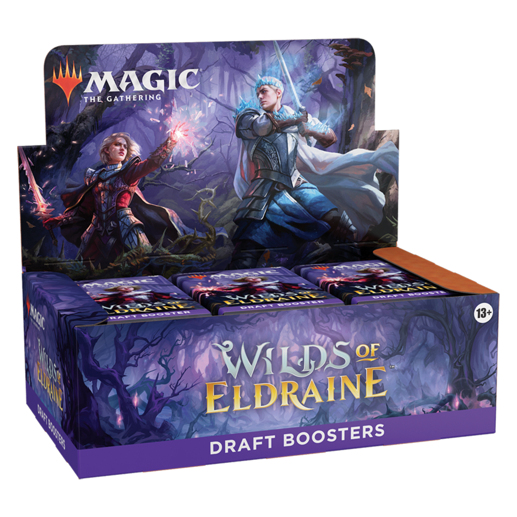 Wizards of the Coast Magic the Gathering: Wilds of Eldraine - Draft Booster Box