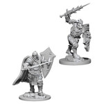 WizKids D&D Nolzur's Marvelous Miniatures: Death Knight & Helmed Horror (W6)