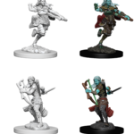 WizKids D&D Nolzur's Marvelous Miniatures: Air Genasi Female Rogue (W4)