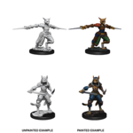 WizKids Dungeons & Dragons Nolzur`s Marvelous Unpainted Miniatures: W09 Female Tabaxi Rogue