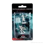 WizKids Dungeons & Dragons Nolzur's Marvelous Unpainted Miniatures: W13 Multiclass Warlock + Sorcerer Female