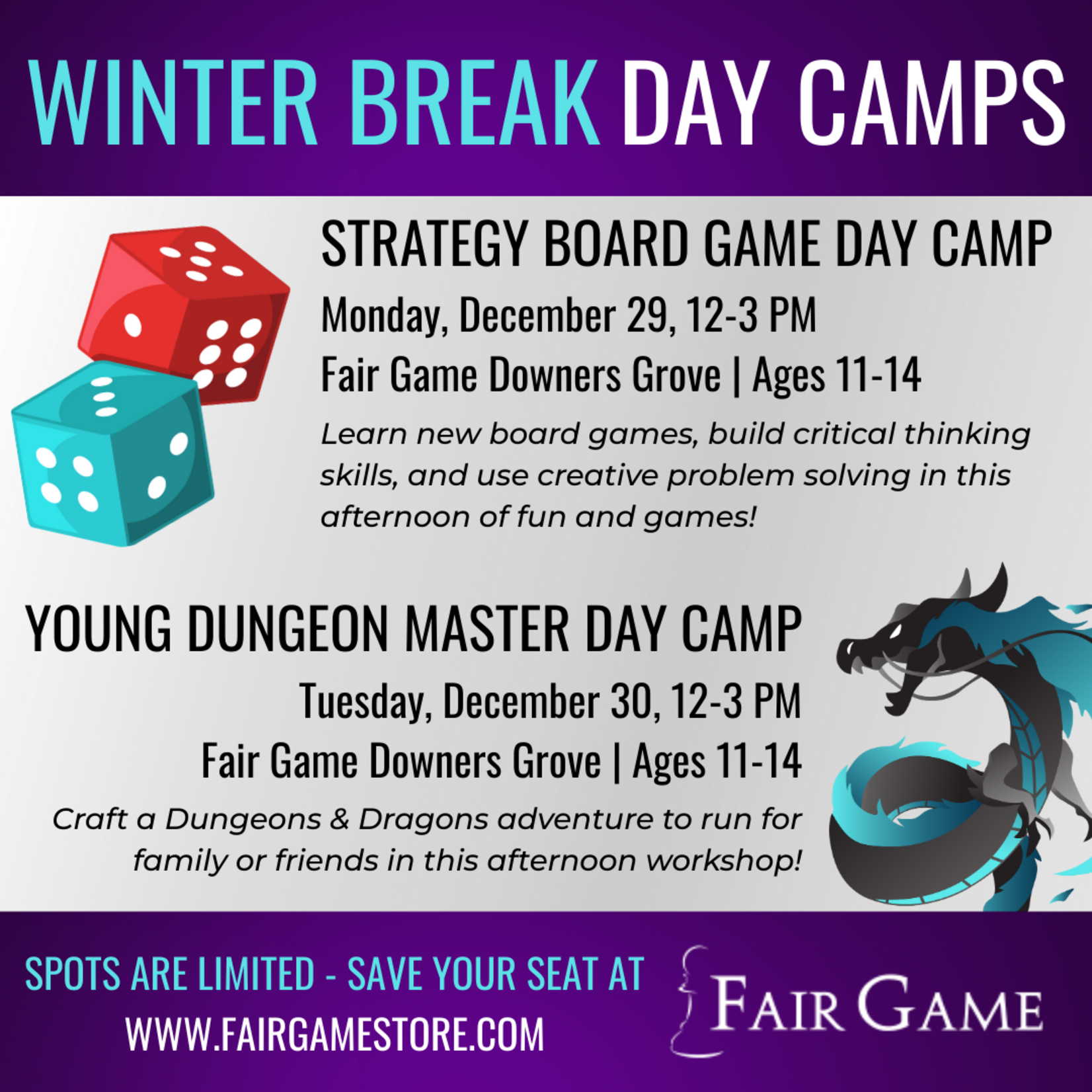 Fair Game Admission: Strategy Board Game Day Camp - 12/29, Downers Grove (12pm)