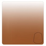 Games Workshop Warhammer Colour (Citadel Paint) - Shade: Seraphim Sepia