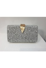 40241414 - Silver Clutch Bag