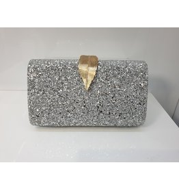 40241414 - Silver Clutch Bag