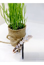 BBF0051-Rose Gold Bangle