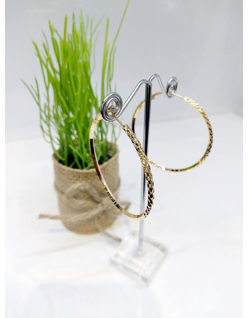 ERF0163 - Gold,  Hoop Earring