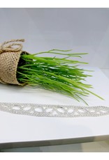 BCF0054 -  Silver  Bracelet