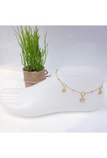 ANF0001 - Gold Anklet