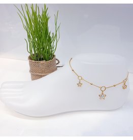 ANF0001 - Gold Anklet