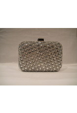 4020020 - Silver  Clutch Bag