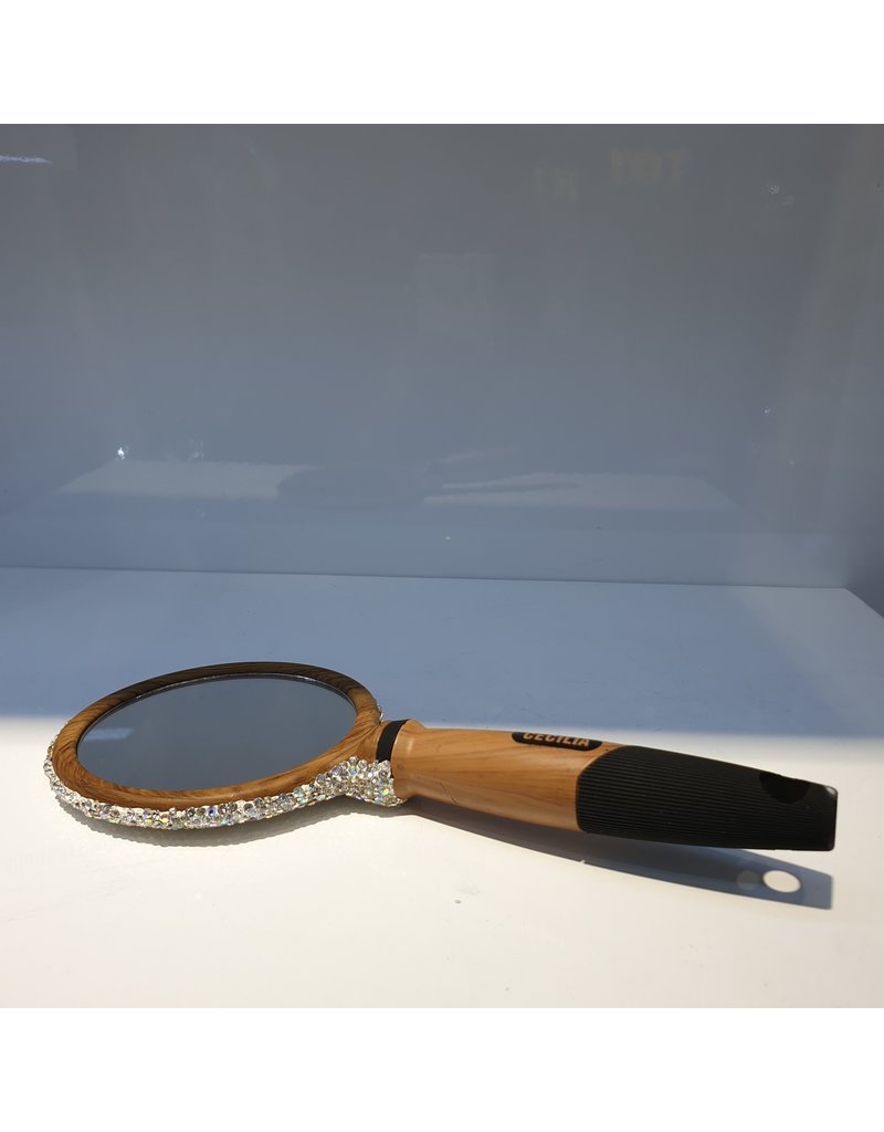 60250159 - Silver Mirro with Handle