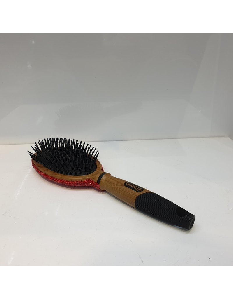 60260024 - Red Hairbrush