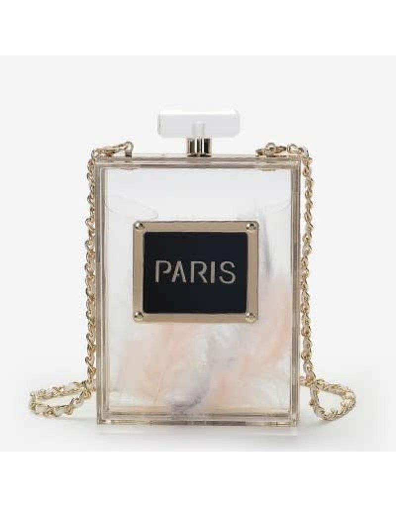 NCA0020 -  Paris, Acryllic Novelty Clutch