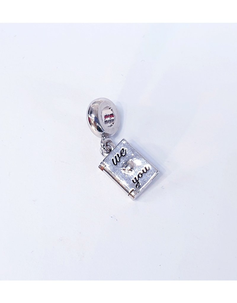 50313489 - Silver Book Charm