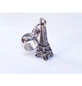 50311804 - Eiffel Tower Charm