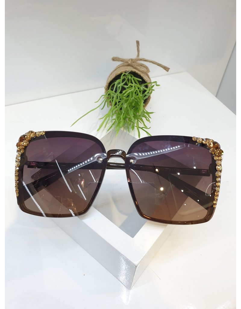 SNA0001- Bronze Sunglasses