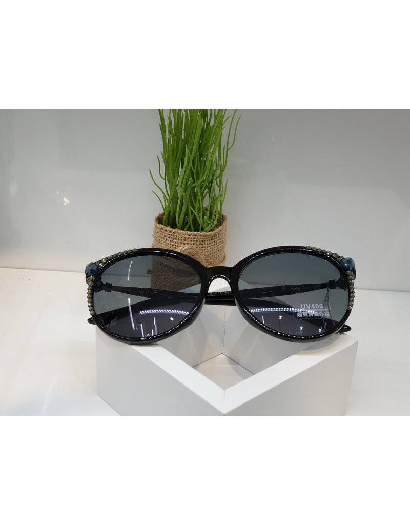 SNA0022- Blue/Silver Sunglasses