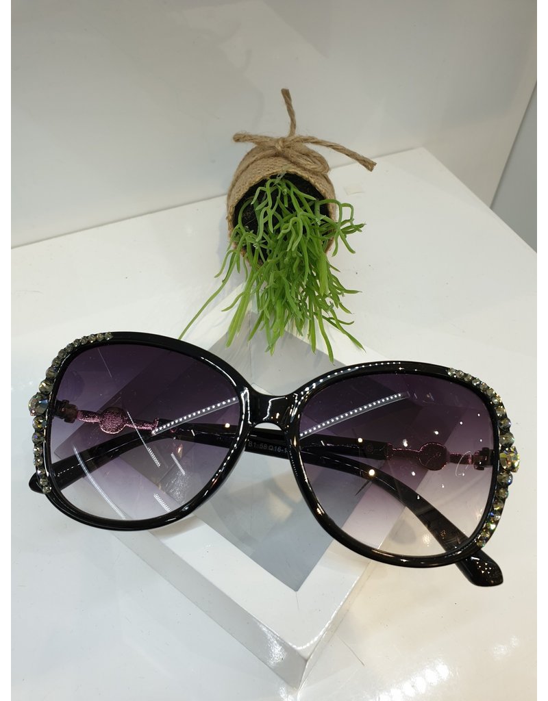 SNA0023- Silver Sunglasses