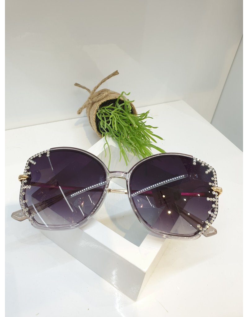SNA0063- Silver Sunglasses