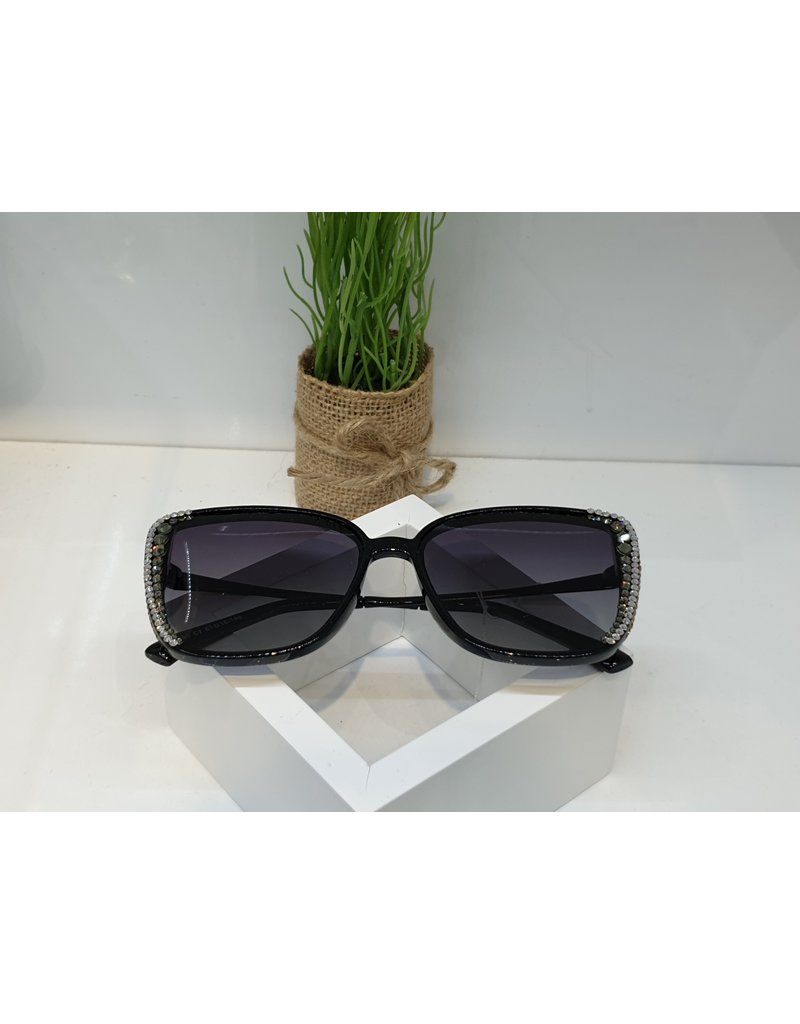 SNA0075- Silver Sunglasses