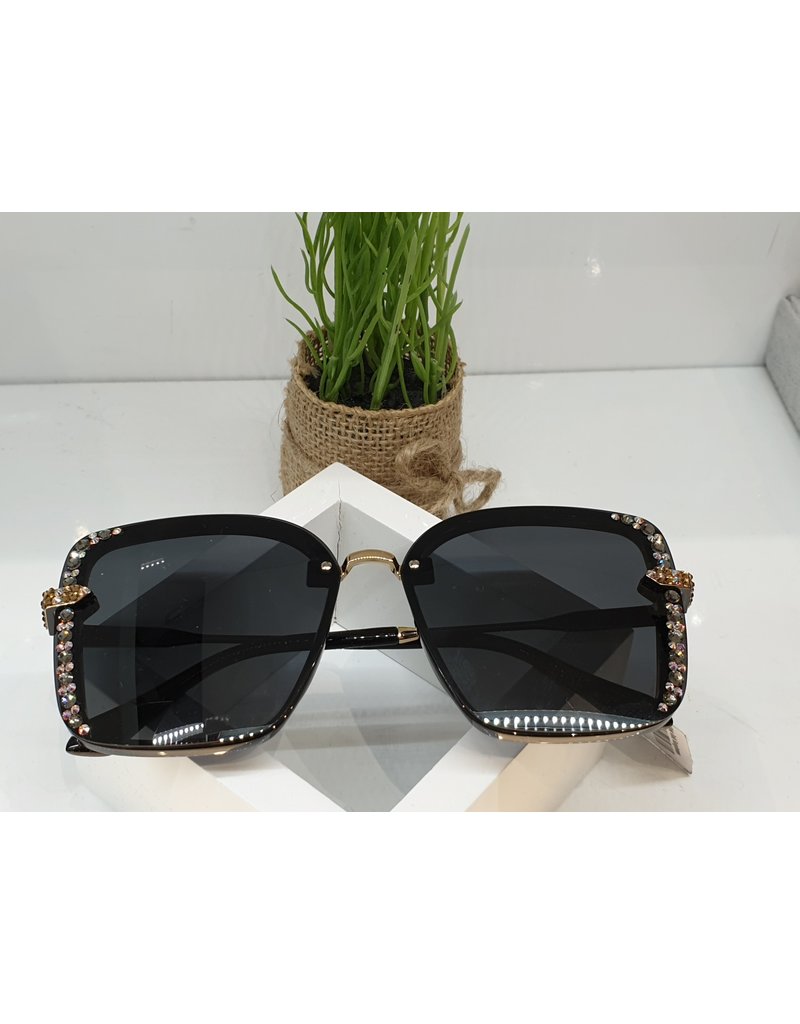 SNA0083- Silver Gold Sunglasses