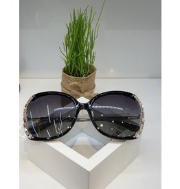 SNA0140- Silver Sunglasses