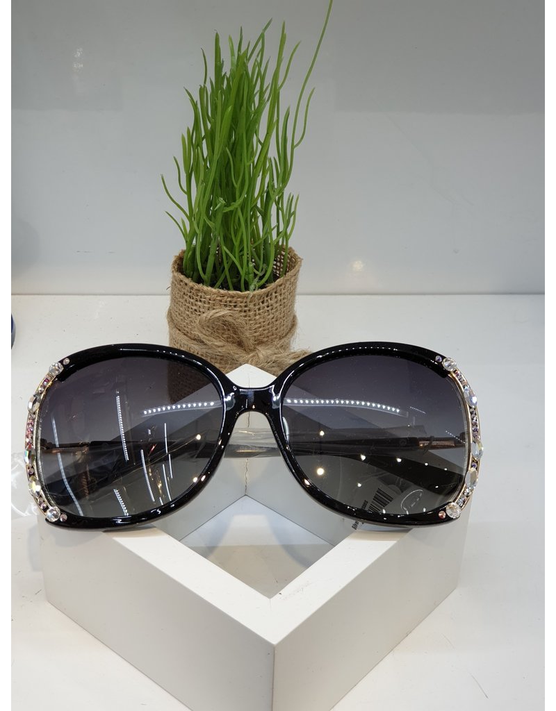 SNA0140- Silver Sunglasses