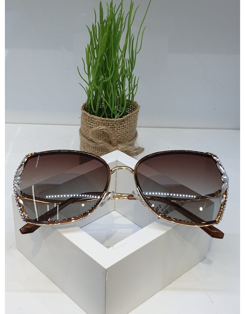 SNA0100- Silver Leaves Sunglasses