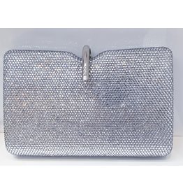 40241401 - Silver Clutch Bag