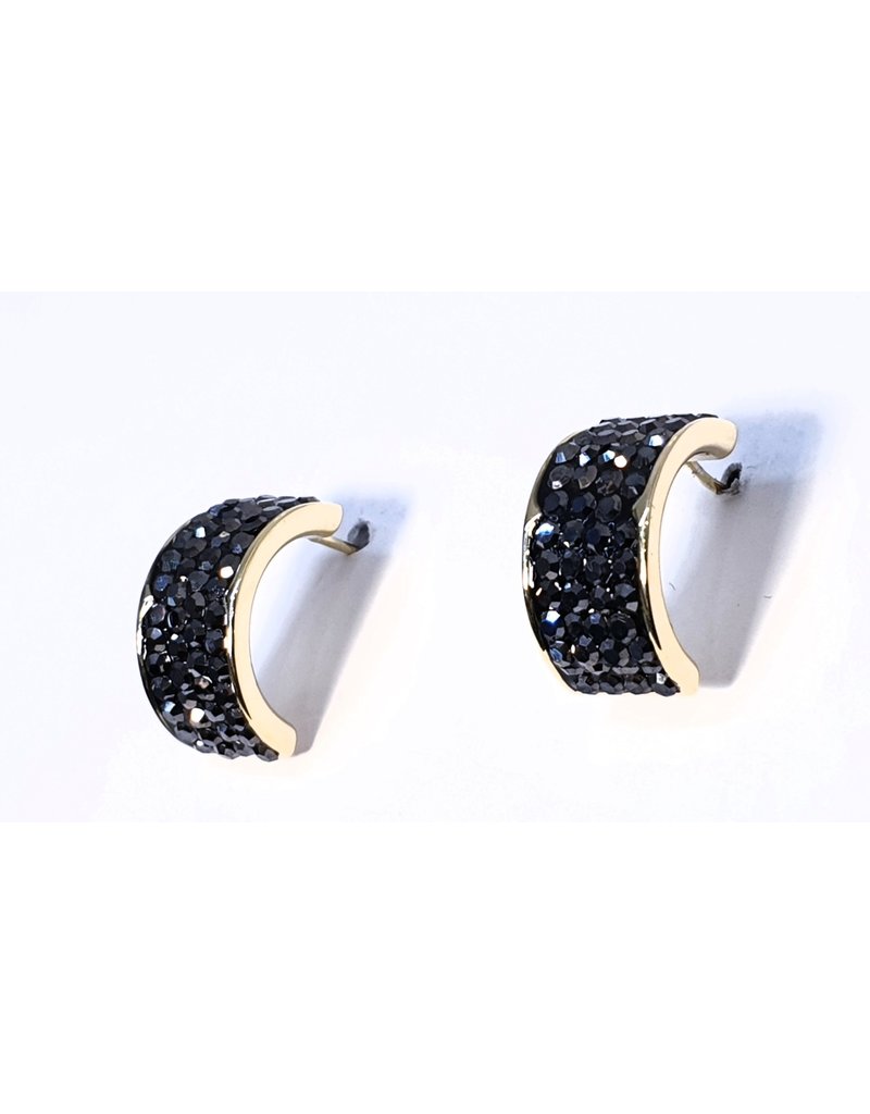 ERH0138 - Black  Earring