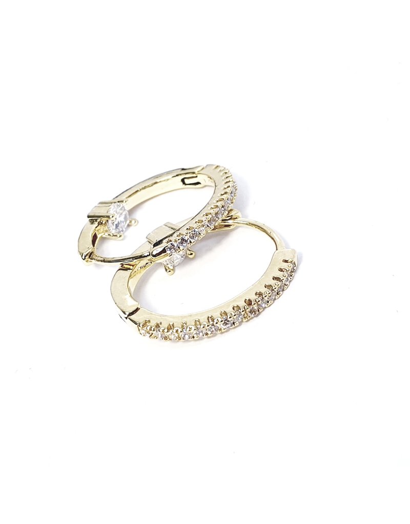 ERH0229 - Gold Hoop  Earring