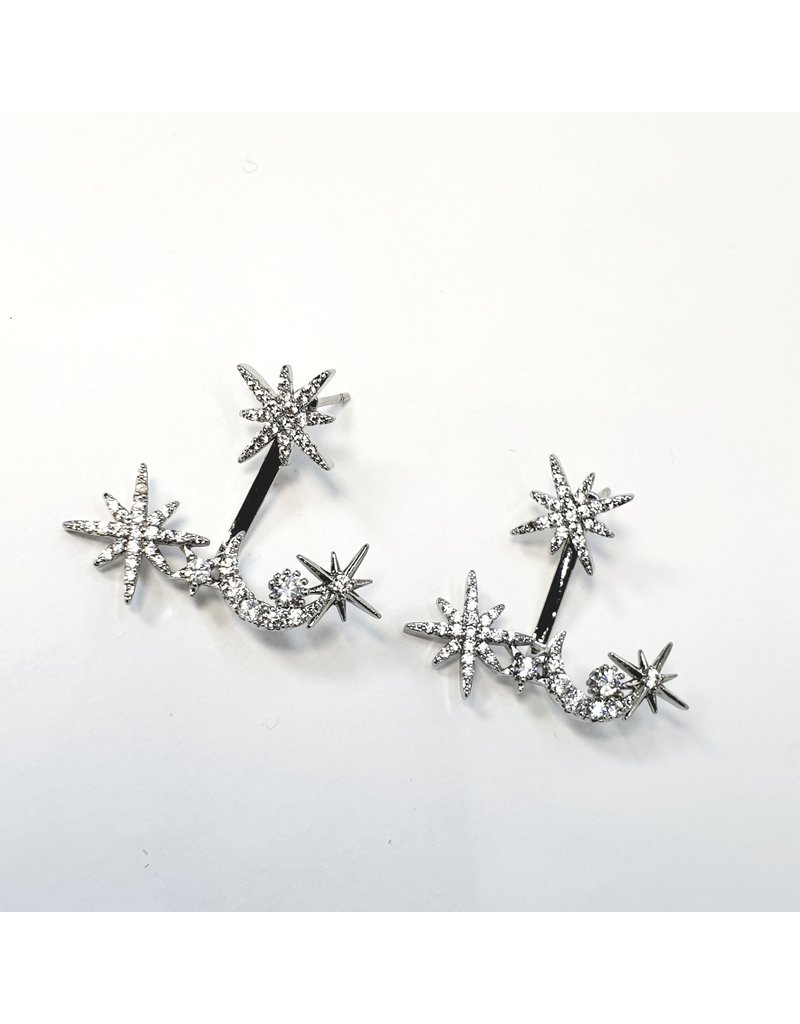 ERH0235 - silver star earring