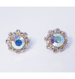 ERH0244 - Mother Of Pearl  Earring 342