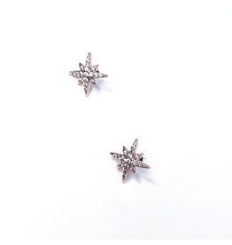 ERH0419 - Rose Gold Star  Earring